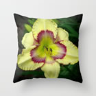 pillow jamaican-love-daylily-pillows.jpg